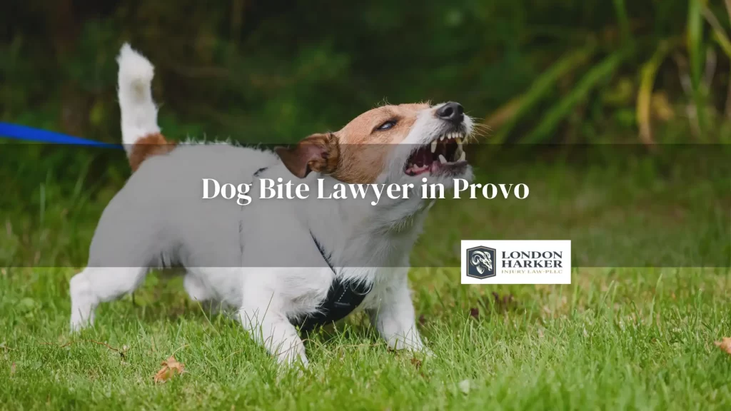 Dog Bite Lawyer in Provo